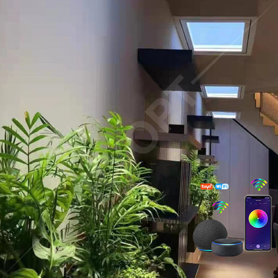 Beli Jendela Skylight Buatan Tuya LED Fake Skylight 2200K-7800K Multi Adegan Untuk Rumah pembuatan online
