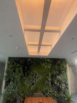 Beli Rectangle Faux Skylight Panels 220mm Highness Customizable Solutions pembuatan online