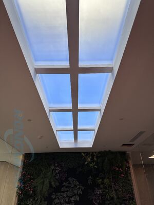membeli 1200x600mm Lampu langit-langit LED buatan dengan kontrol cerdas dan pencahayaan sirkadian pembuatan online