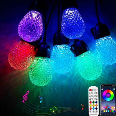 Dimmable 48ft RGB String Light Tahan Air DC12V 15 Bulbs Kontrol Aplikasi
